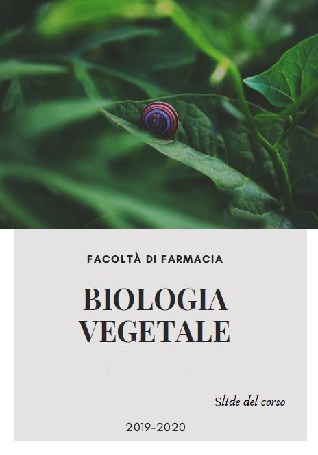Biologia Vegetale - Slide