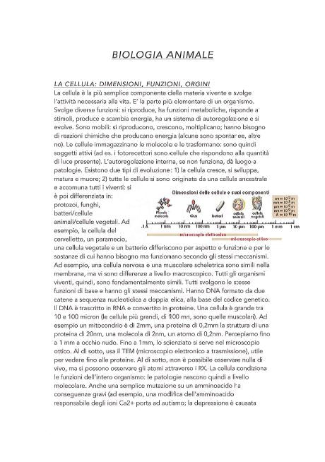 Biologia animale - Appunti