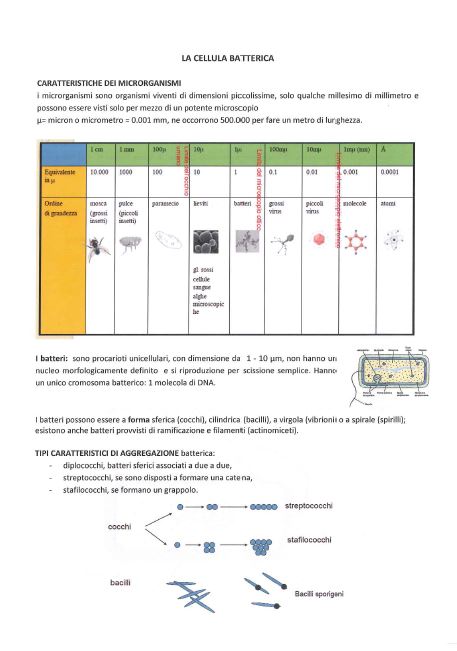 Microbiologia - Appunti