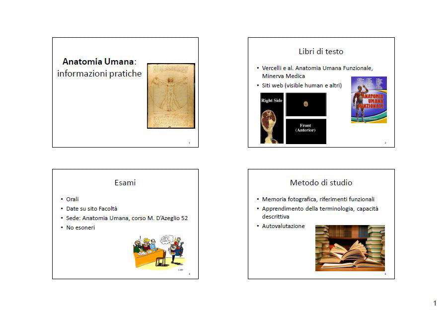 Anatomia - Slide - C.T.F.