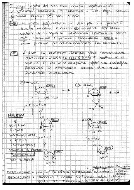 Biochimica applicata - Appunti