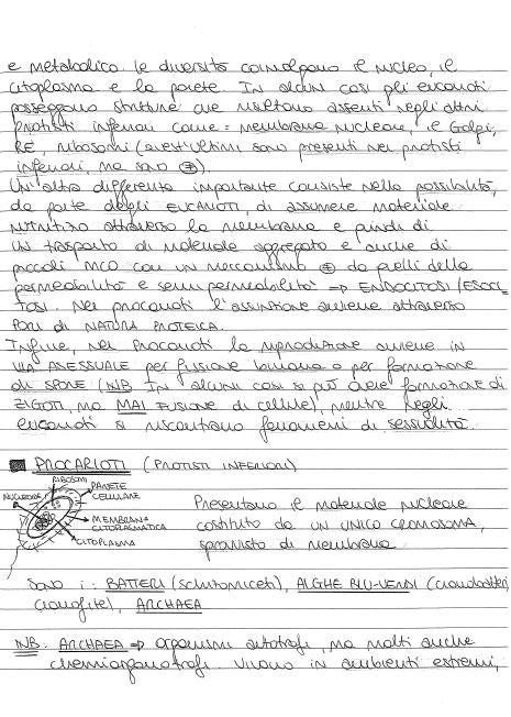 Microbiologia - Appunti