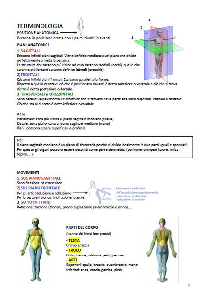 Anatomia - Appunti
