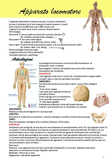 Anatomia - Appunti