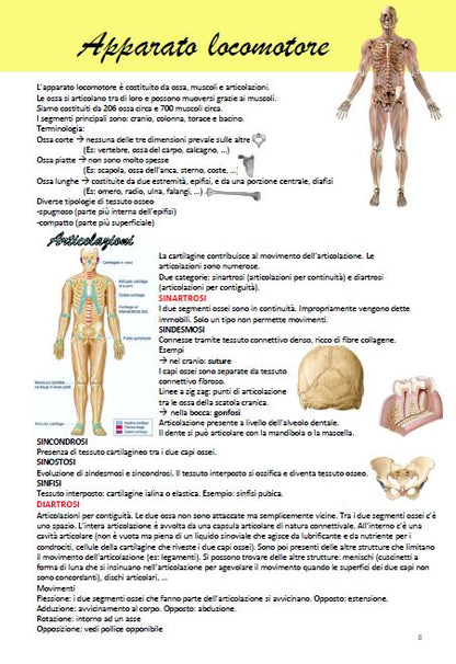Anatomia - Appunti