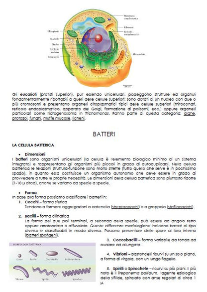 Microbiologia - Appunti